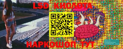 твердый Брянск