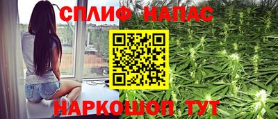 молекула духа Владимир
