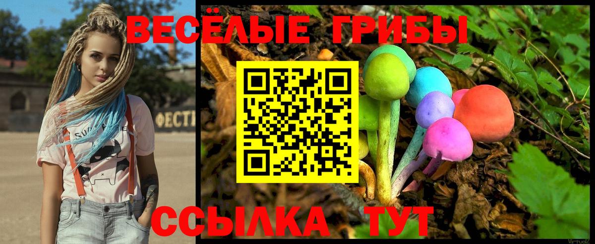 Азнакаево  Псилоцибиновые грибы Psilocybe  Вход с VPN 